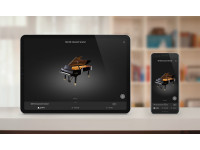 Kawai CN-301 R Kawai CN-301 R